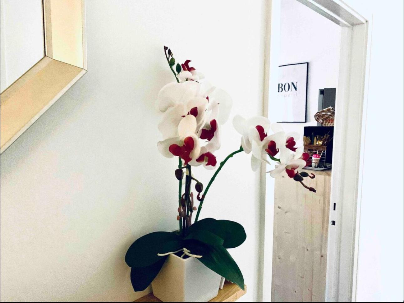 Self-Check In Sunny & Charming Apt Coïmbre Extérieur photo